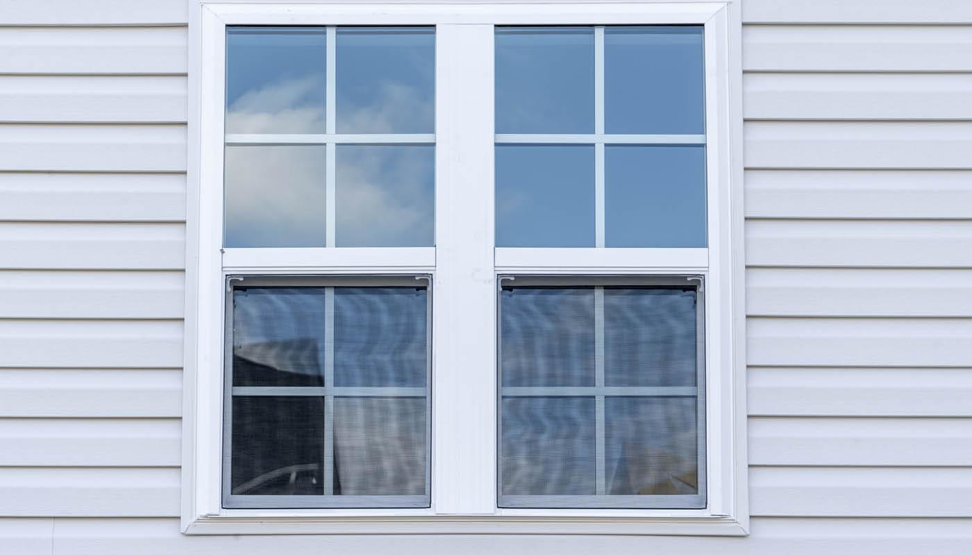 Double and single hung windows